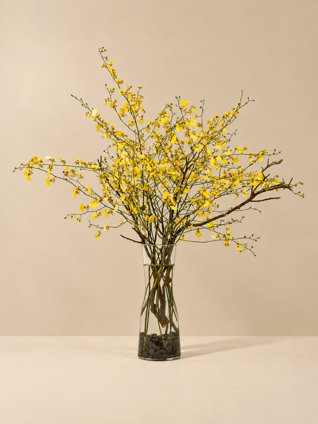 A Bud Vase of Orchid Gold - 1 of 3