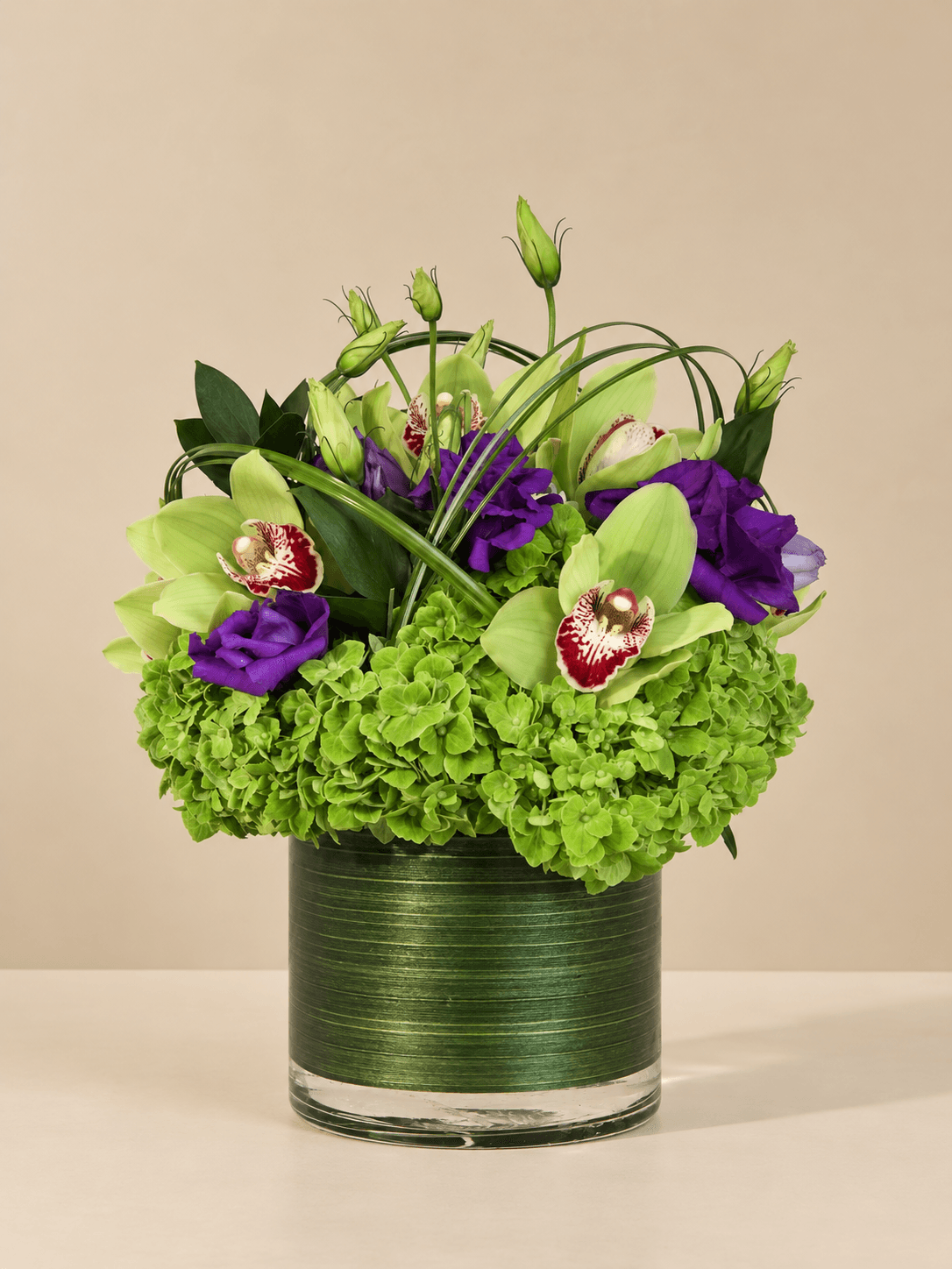 A Cymbidium Delight