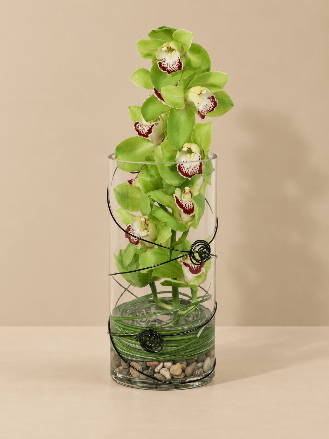 A Cymbidium Orchid Desktop Garden