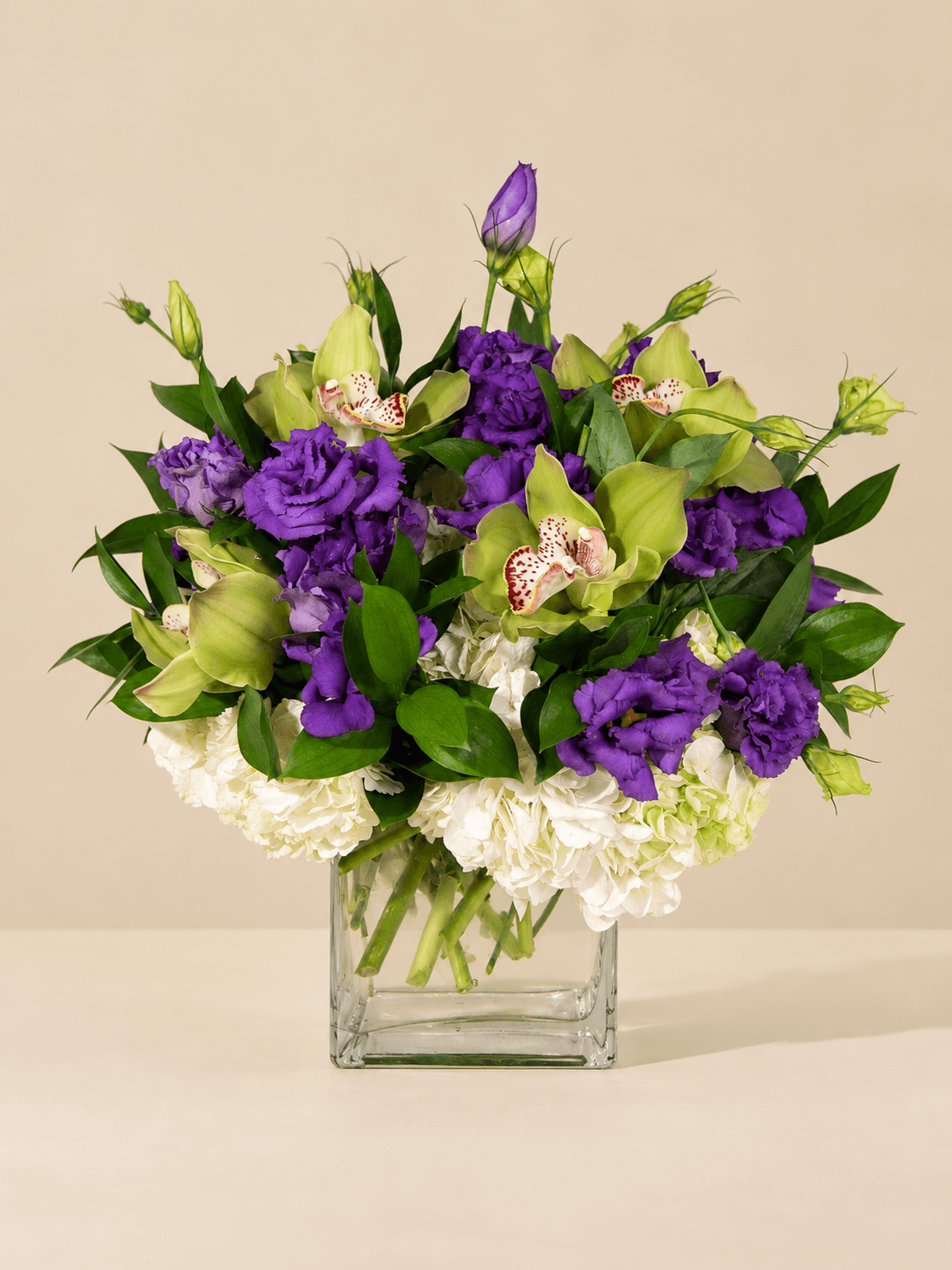 A Lovely Burst of Beautiful Blooms