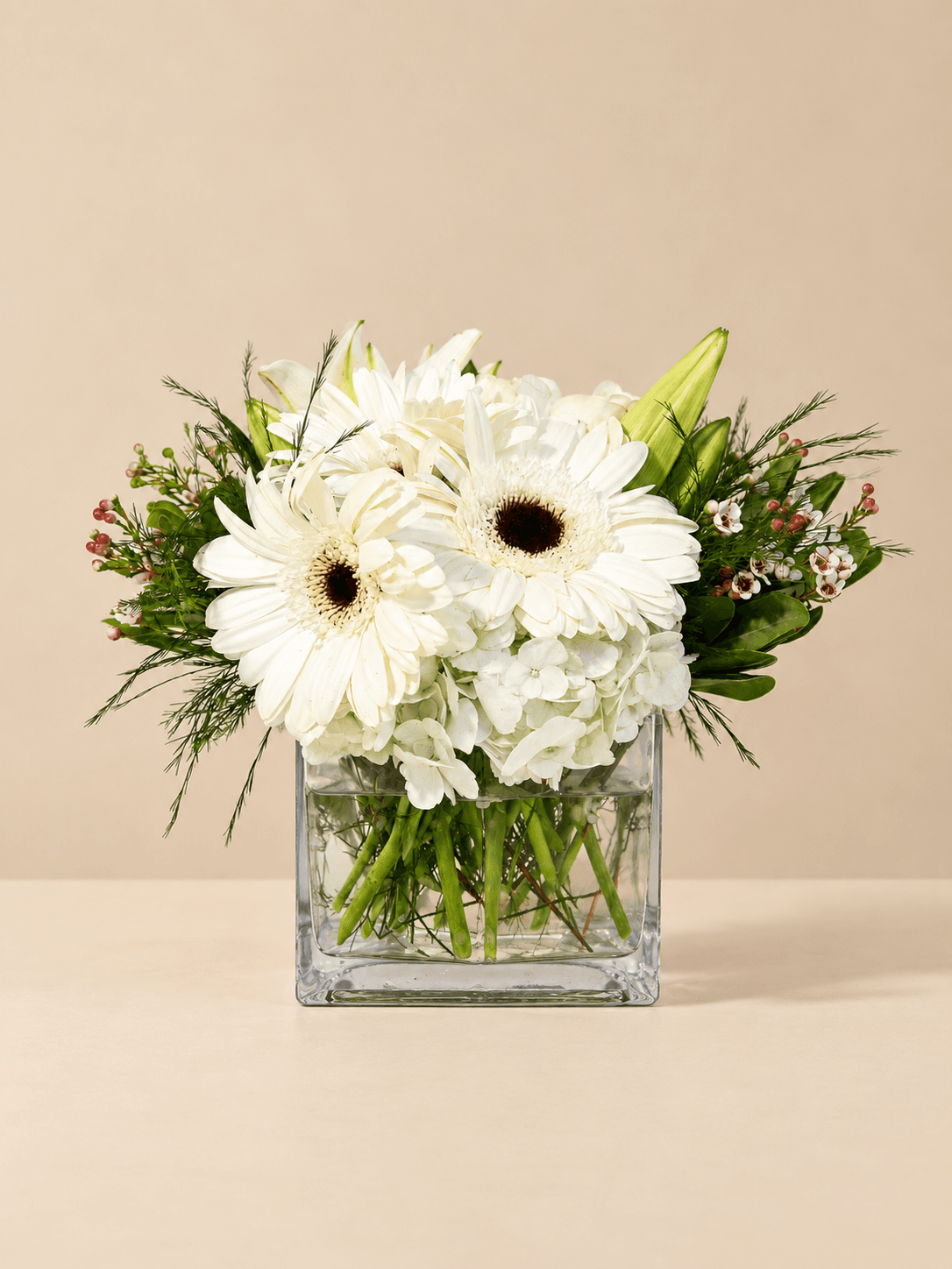 A Petite White Elegance
