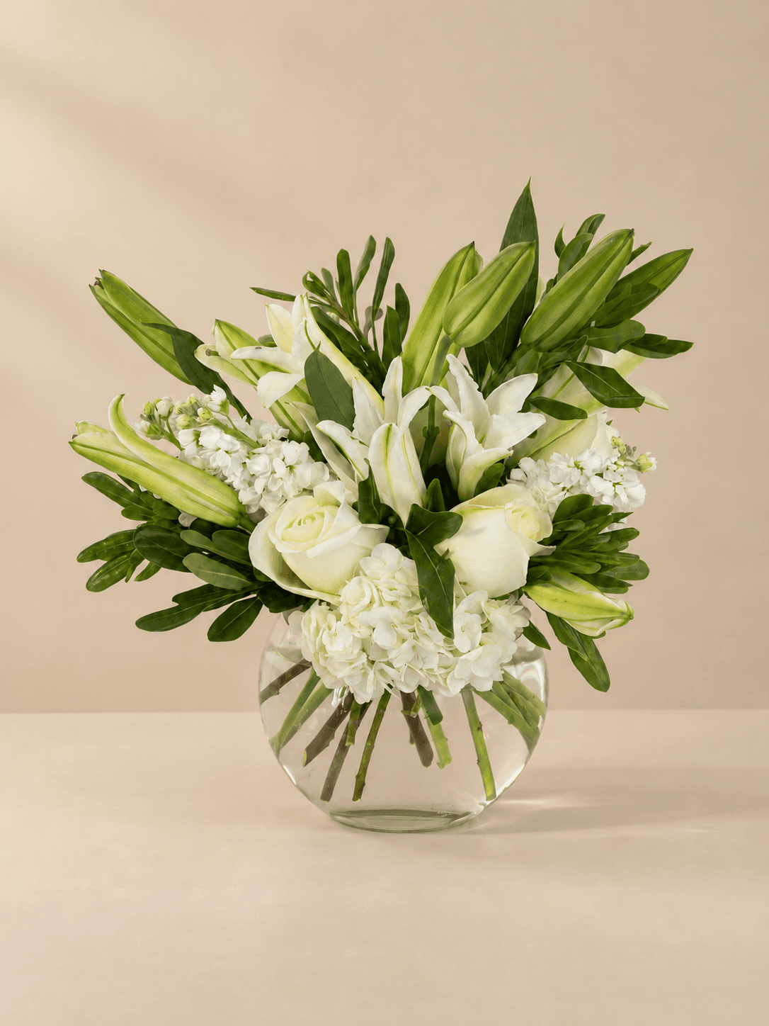 A Winter White Lilies