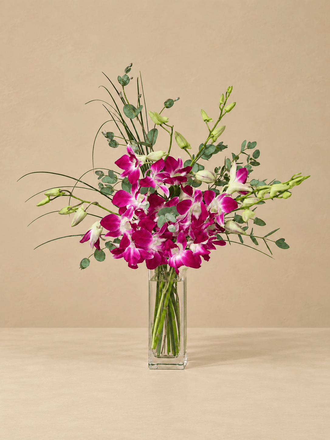 Dendrobium Orchid Vase