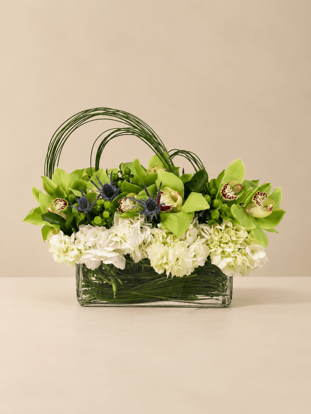 Green Cymbidium Orchids & Hydrangea