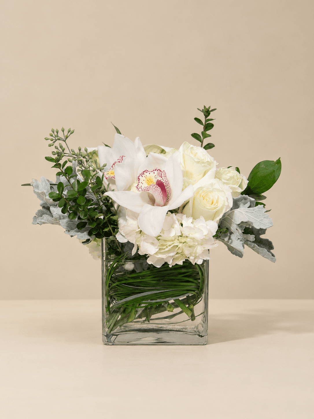 Orchids for Mom