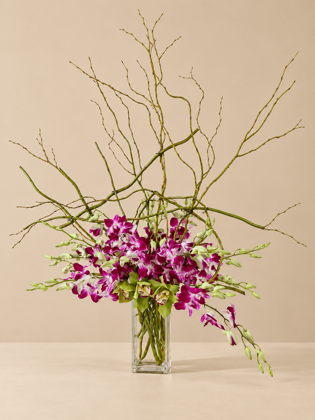 Purple Dendrobium Orchid Majesty