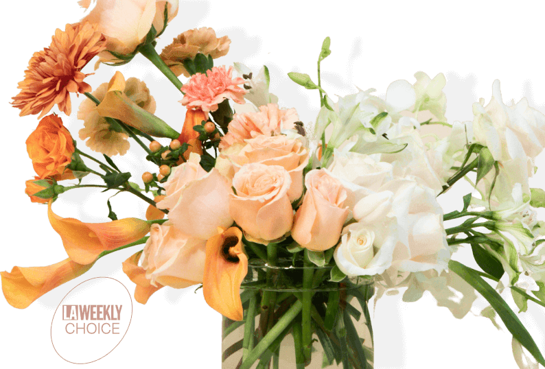 Florist In Morgan City La